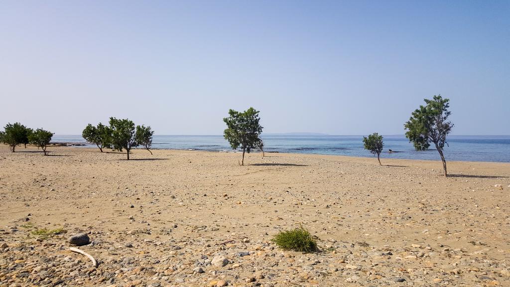 Kritamos Beach Apartments Frangokastello Eksteriør billede